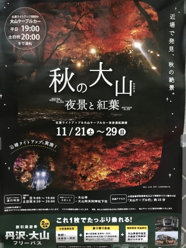 秋の大山　夜景と紅葉　ライトアップ　日本遺産　大山阿夫利神社　おしゃれカフェ　茶寮 石尊　堀部安嗣_a0322824_20194531.jpg