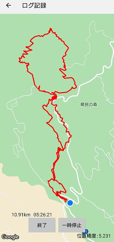 渋滞の日光を避けて栃木県民の森へ_d0137627_22383579.jpg