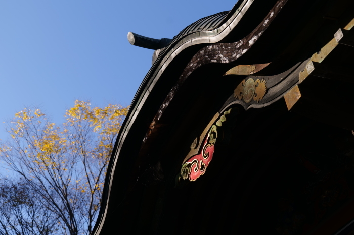 秩父神社　LUMIX S5_f0050534_18502152.jpg