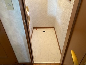 「TOTOピュアレストEXでお掃除ラクラク♪」_d0178136_15595031.jpeg
