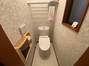「TOTOピュアレストEXでお掃除ラクラク♪」_d0178136_15595284.jpeg