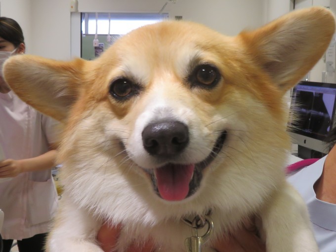 11 月 27 日の写真_c0174644_12053544.jpg
