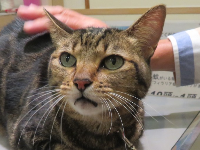 11 月 27 日の写真_c0174644_18553056.jpg