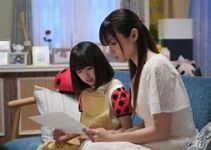 ルパンの娘 第2シリーズ 第7話 「最終章絶体絶命の泥棒一家!!夫、娘と涙の別れ…」_e0080345_07241395.jpg