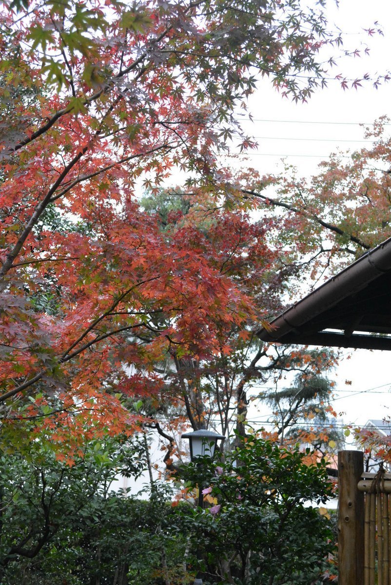 「鶴野啓司展 名もなき土」7日目-2_d0087761_17445995.jpg