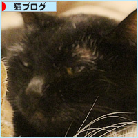 つなぐ猫_a0389088_10354955.jpg