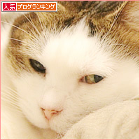 つなぐ猫_a0389088_10354996.jpg