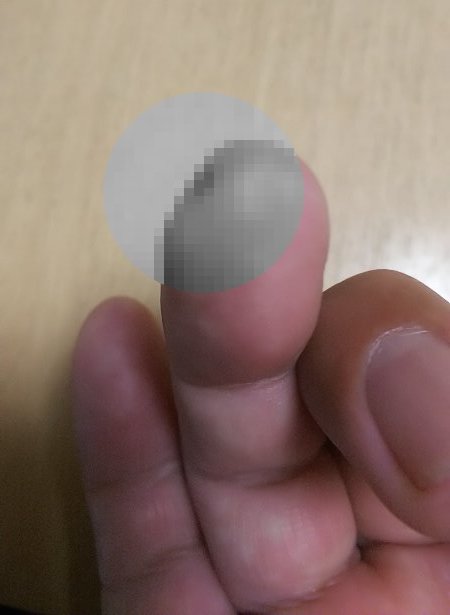 スライサー怖い。_b0326613_22501498.jpg