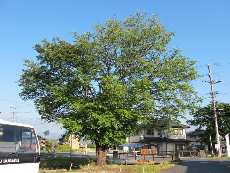 執念の10年間を振り返る_f0076731_18382079.jpg