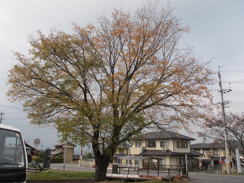 執念の10年間を振り返る_f0076731_18390218.jpg