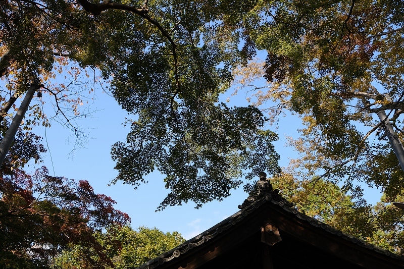 遅ればせながら_e0374932_07125074.jpg