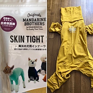 パジャマを着る犬_e0102141_16200928.jpg