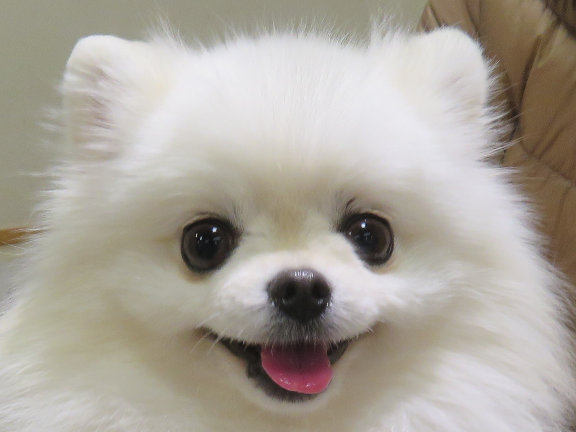 11月28日の写真_c0174644_09443930.jpg