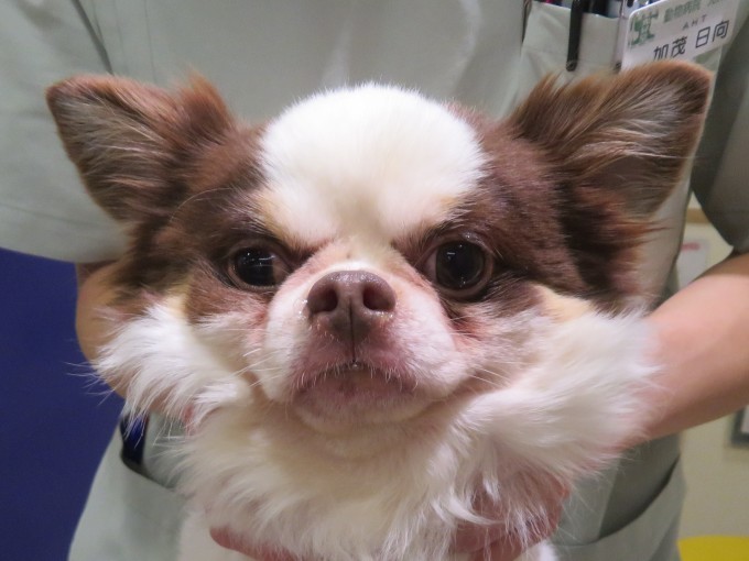 11月28日の写真_c0174644_12483538.jpg