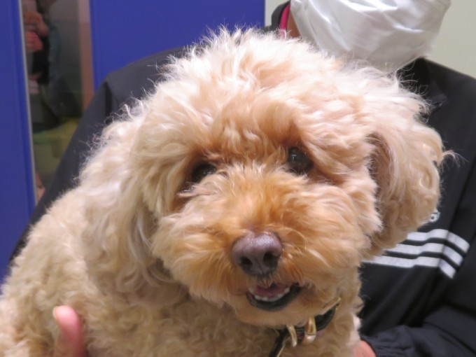 11月28日の写真_c0174644_19495458.jpg