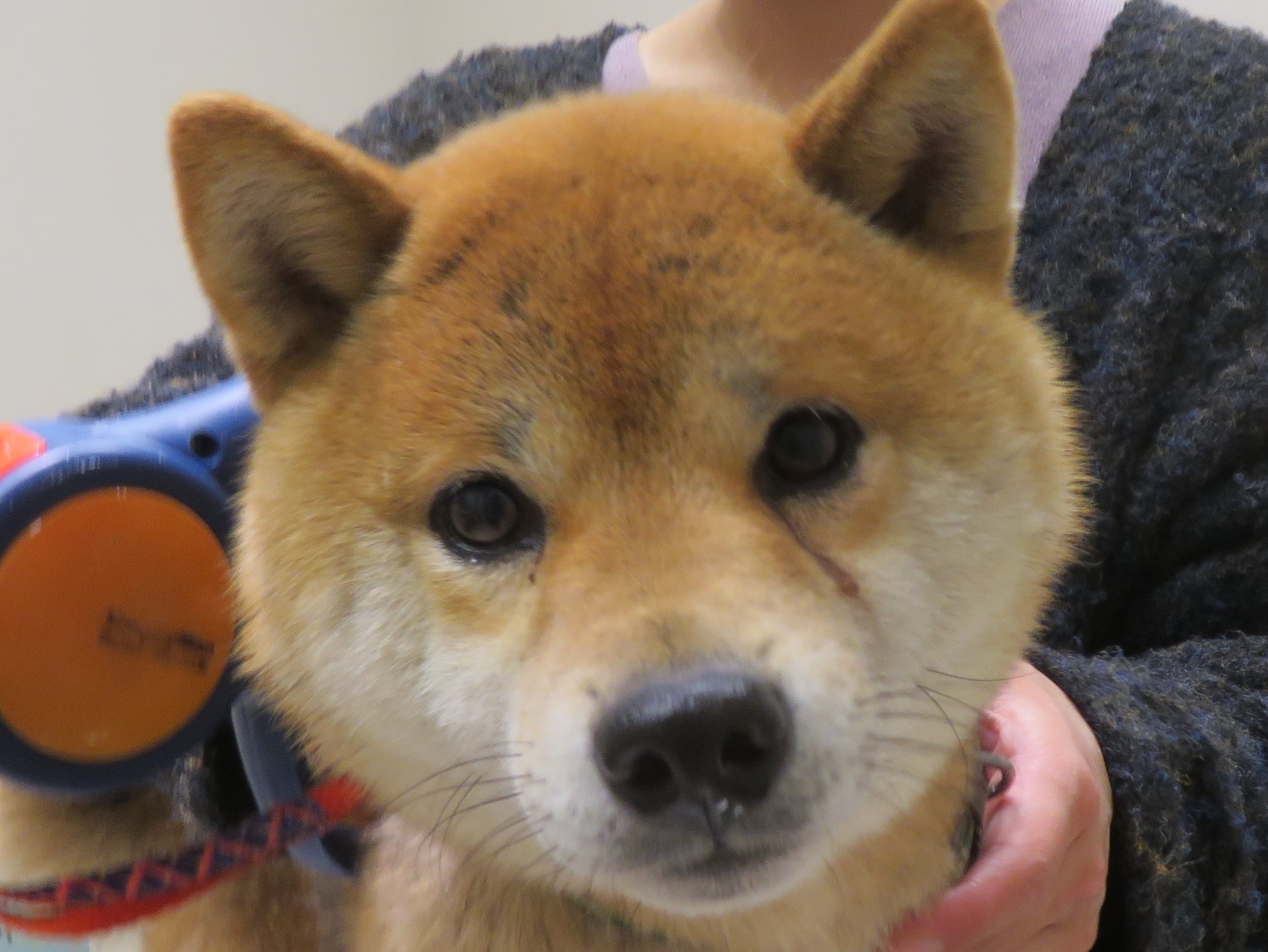 11月28日の写真_c0174644_19495566.jpg