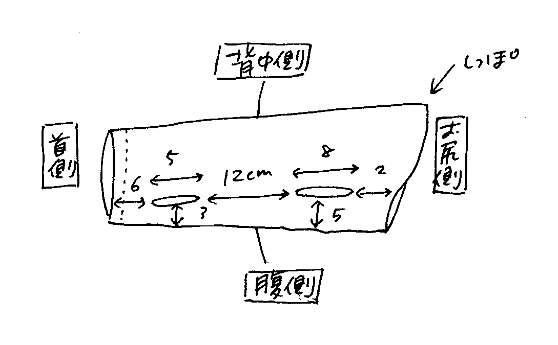 はぎれや古着で手軽に作る 猫の術後服 Fu Koなまいにち