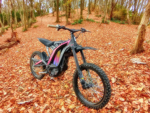 高峰 e-MTB ワールド XXXXVIII - Sur-Ron Light Bee II_b0049658_15483961.jpg
