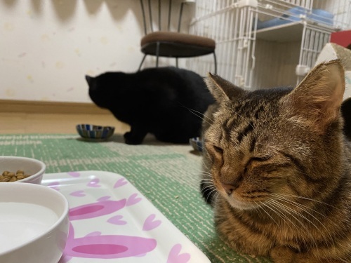 マツコさんと_a0216583_23485873.jpeg