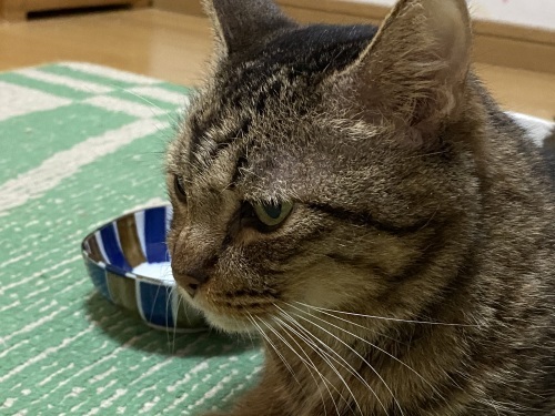 マツコさんと_a0216583_23490634.jpeg