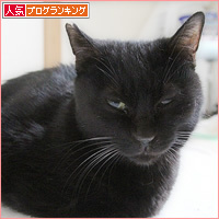 イレーネの急病_a0389088_13023150.jpg