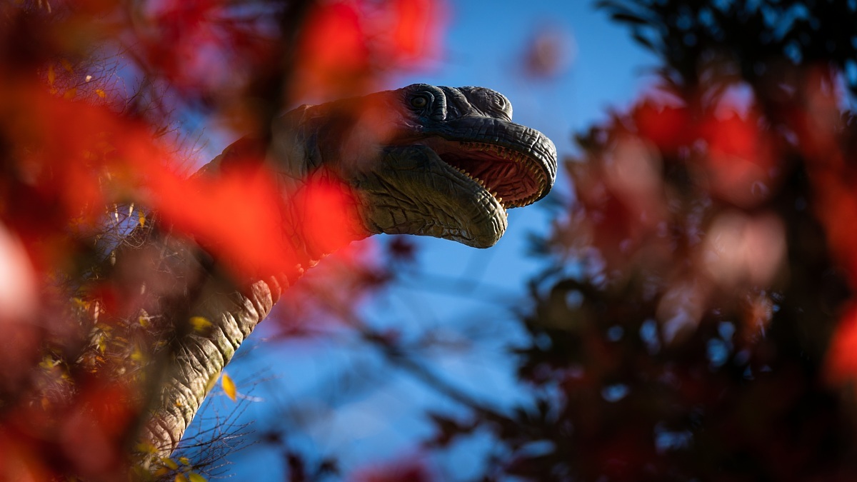 ジュラ紀の巨大生物もいる動物園_d0353489_18181955.jpg