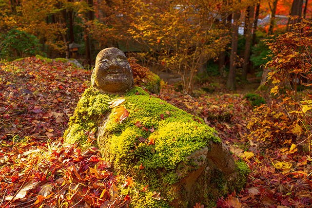 箱根長安寺の紅葉は素晴らしかった エーデルワイスブログ
