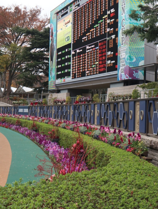 競馬の中継を見ています♪_b0331802_15011987.jpg