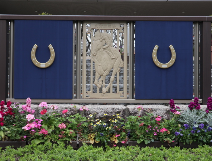 競馬の中継を見ています♪_b0331802_15013250.jpg
