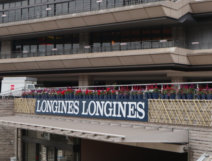 競馬の中継を見ています♪_b0331802_15024992.jpg
