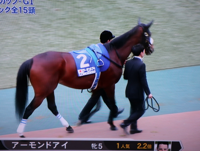 競馬の中継を見ています♪_b0331802_15073055.jpg