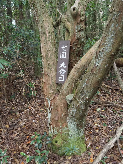 七国見山登山_c0116915_00214733.jpg