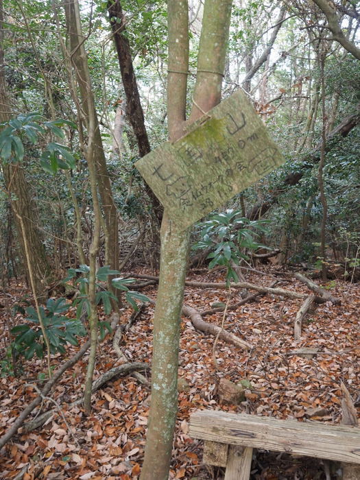 七国見山登山_c0116915_00242053.jpg