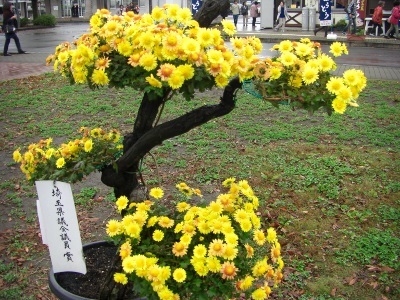 トップセールスは決してへこたれないのです!_c0074721_14103462.jpg