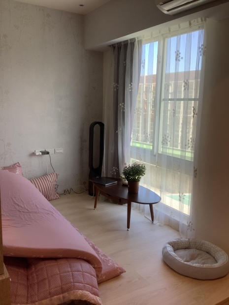 今天終於全部歸位_f0057324_14273338.jpeg