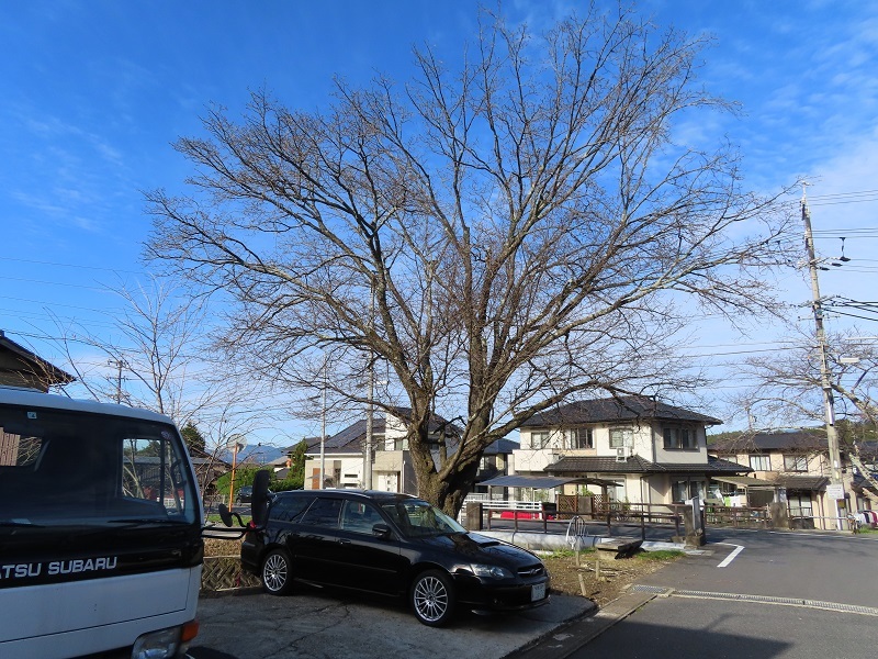 執念の10年間を振り返る_f0076731_10254321.jpg