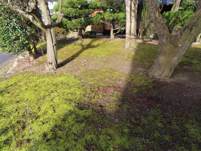 執念の10年間を振り返る_f0076731_10551711.jpg