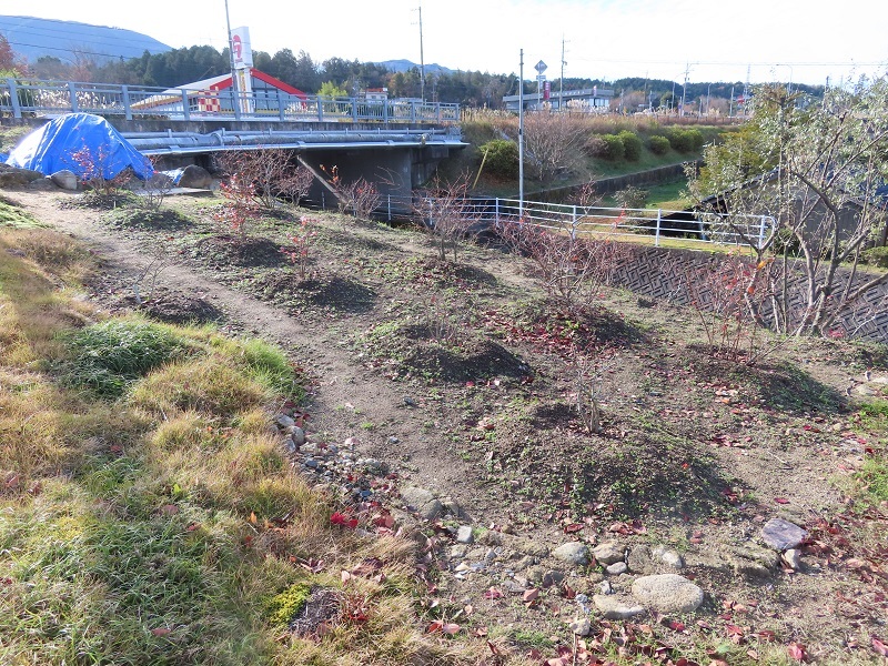 執念の10年間を振り返る_f0076731_11001820.jpg
