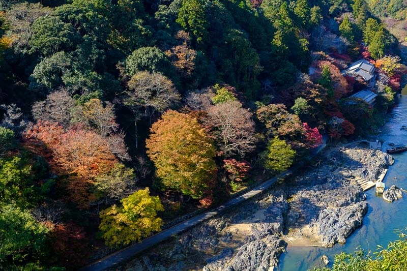 嵐山　渡月橋と展望台からの眺め_b0325840_19595908.jpg