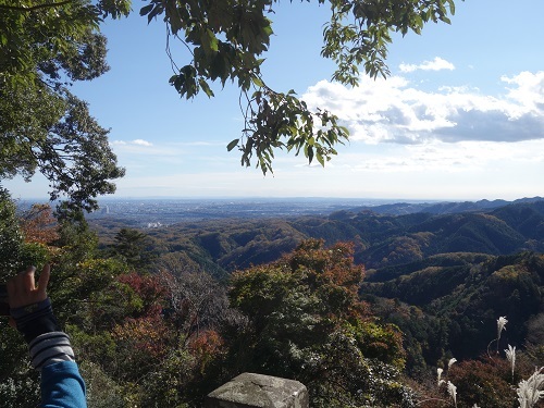 30年ぶりの高尾山にお弁当持って登ってみた_c0030645_17220110.jpg