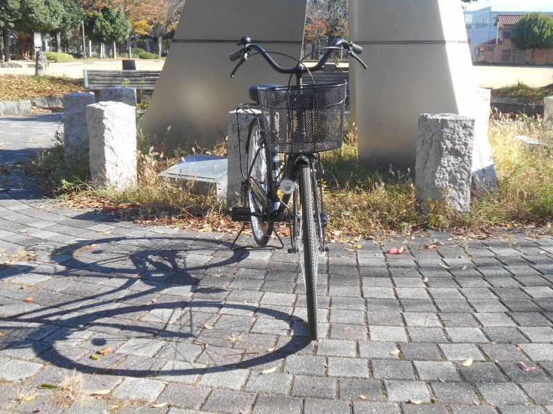 自転車が新しくなったので_f0297545_17501279.jpg