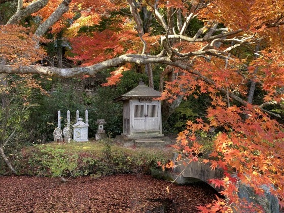 紅葉前線南下中 福島県宝蔵寺_c0261447_10465471.jpg