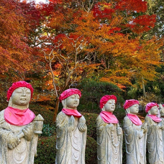 紅葉前線南下中 福島県宝蔵寺_c0261447_10471667.jpg