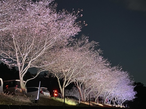 紅葉前線南下中 福島県宝蔵寺_c0261447_10541109.jpg