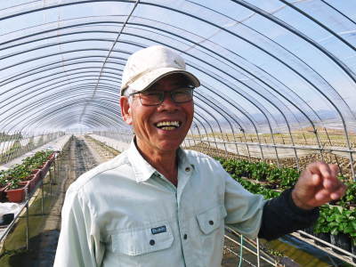 熊本イチゴ!令和2年度の先行予約受付スタート!第1弾!こだわりのイチゴ『完熟紅ほっぺ』_a0254656_17223745.jpg
