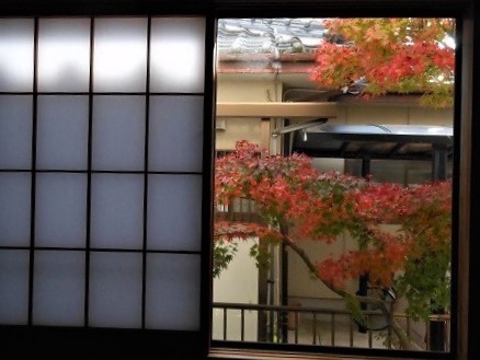 障子を開けると紅葉が見える_e0175370_21042121.jpg