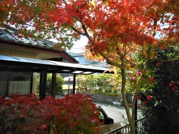 障子を開けると紅葉が見える_e0175370_21043014.jpg