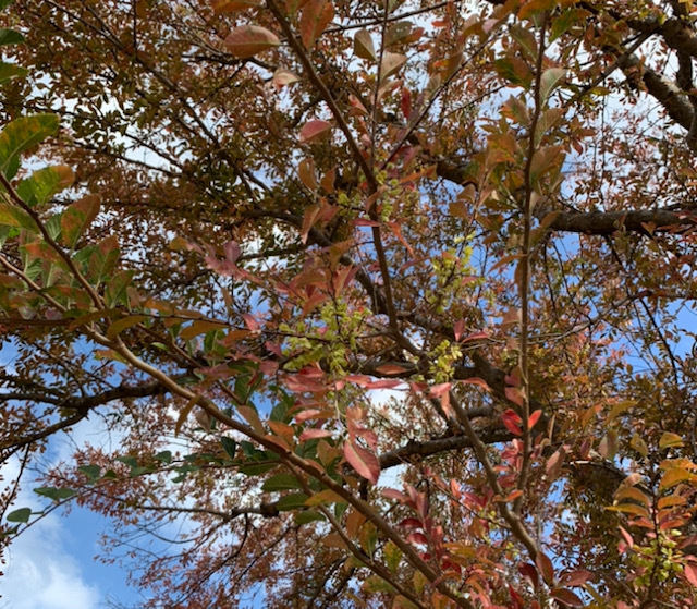 びと こもり