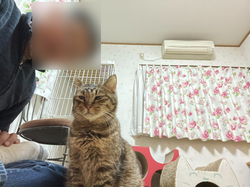 マツコと自撮り 〜旦那編〜_a0216583_23520978.png