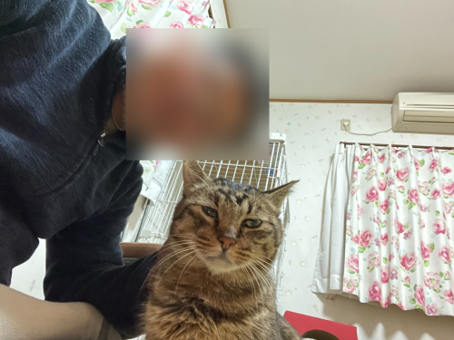 マツコと自撮り 〜旦那編〜_a0216583_23521240.png